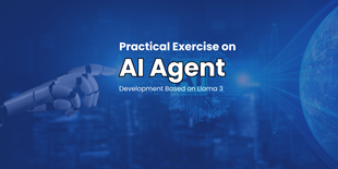 Practical Exercise on AI Agent Development Based on Llama 3