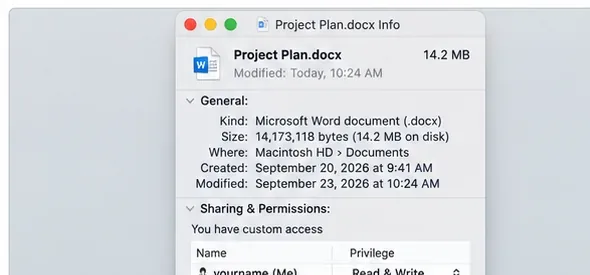 Finder Get Info window for a Word document showing Sharing and Permissions with Read and Write access